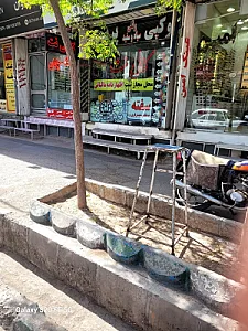 کافی نت میلاد