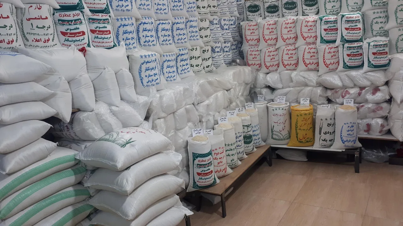 برنج سرای گیلان - تصویر 3
