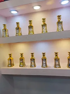 اکسسوری پناه
