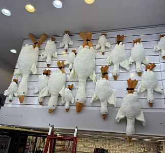 اکسسوری شیک و پیک