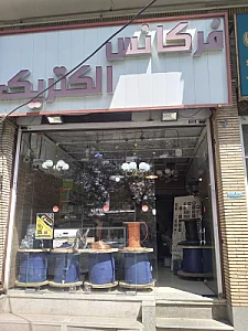 فرکانس الکتریک