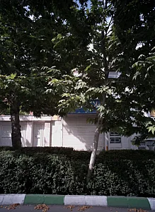 املاک ایرانیان