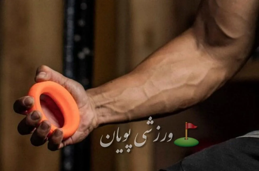 فروشگاه ورزشی پویان - تصویر 6