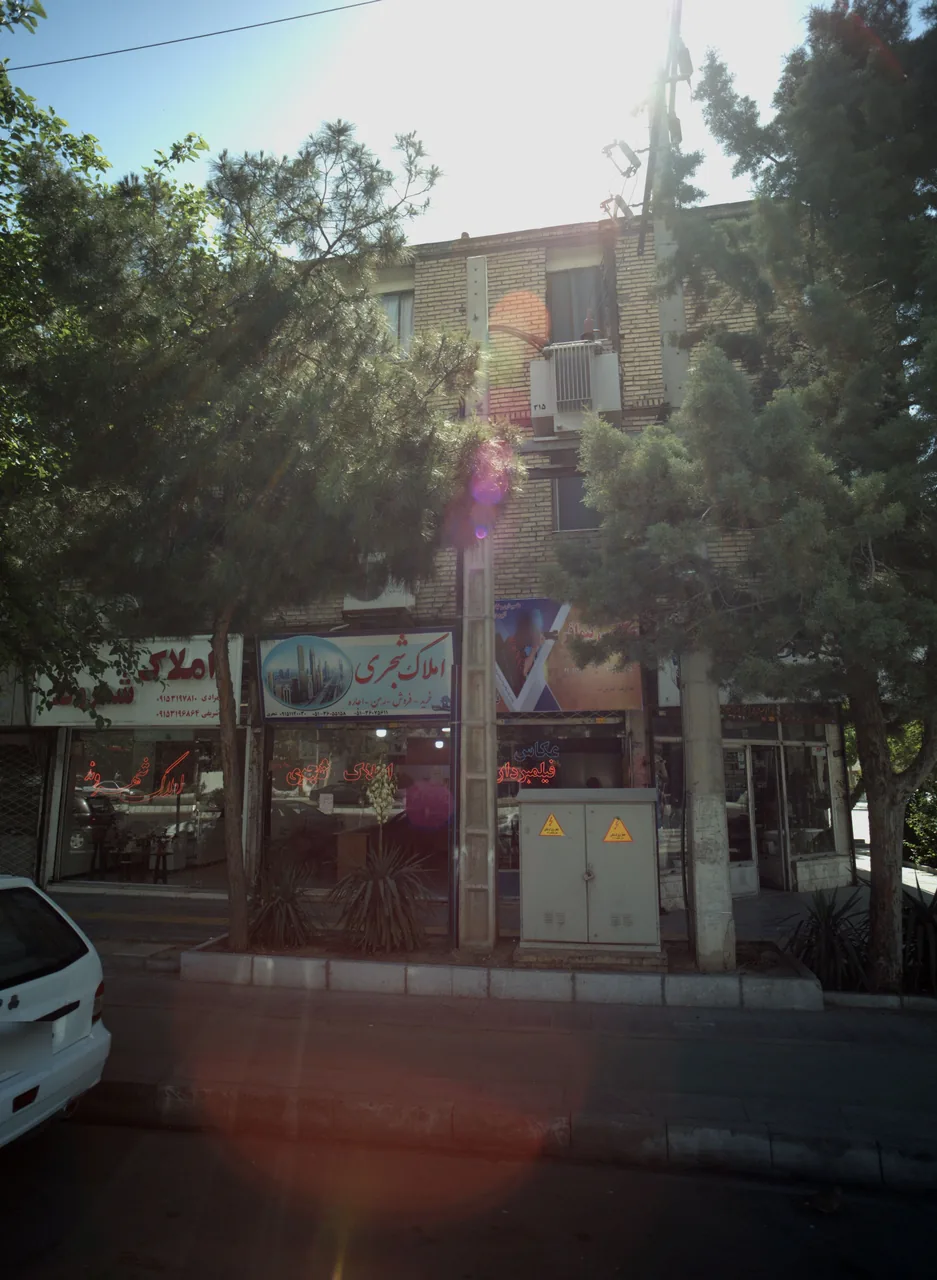 املاک شجری