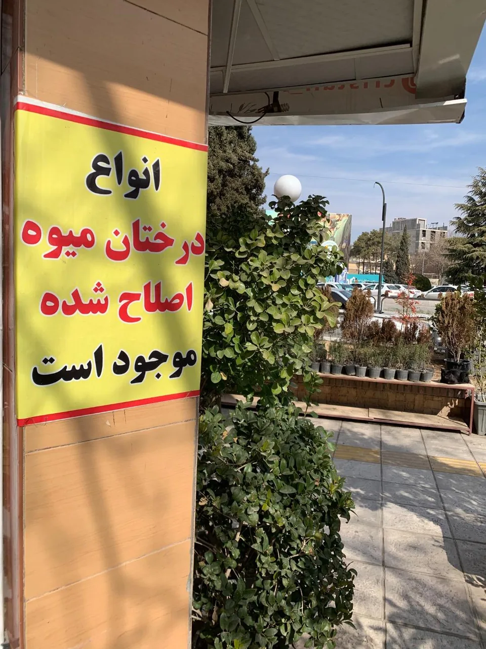 گل فروشی کریستال - تصویر 4