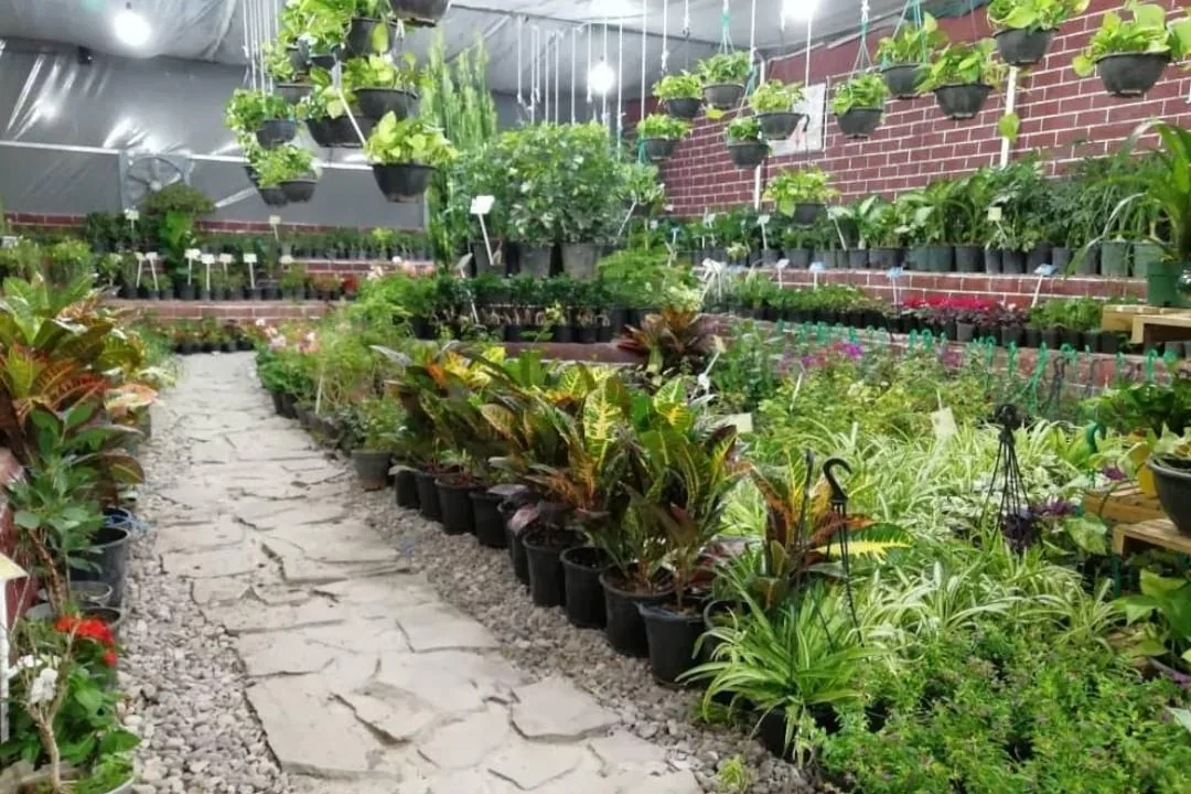 گلسرای طراوت - تصویر 4