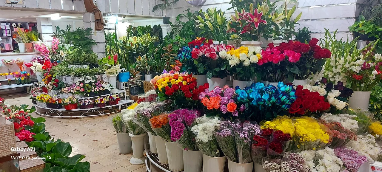 گل فروشی کاملیا - تصویر 2