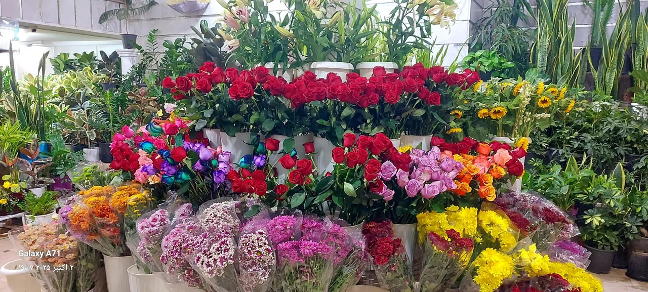 گل فروشی کاملیا - تصویر 4