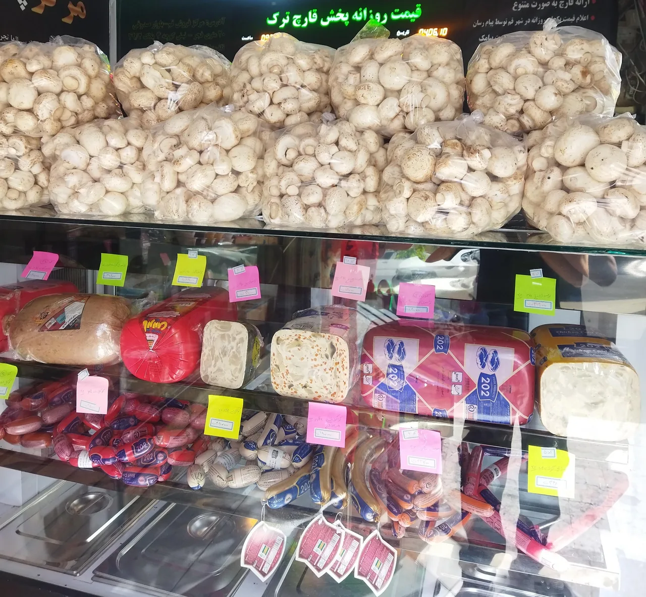 مرکز پخش قارچ ترک