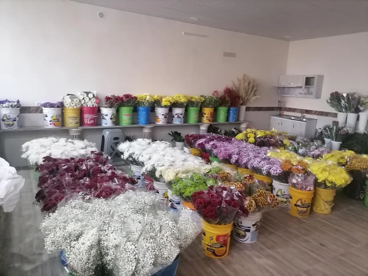 گلفروشی آرالیا