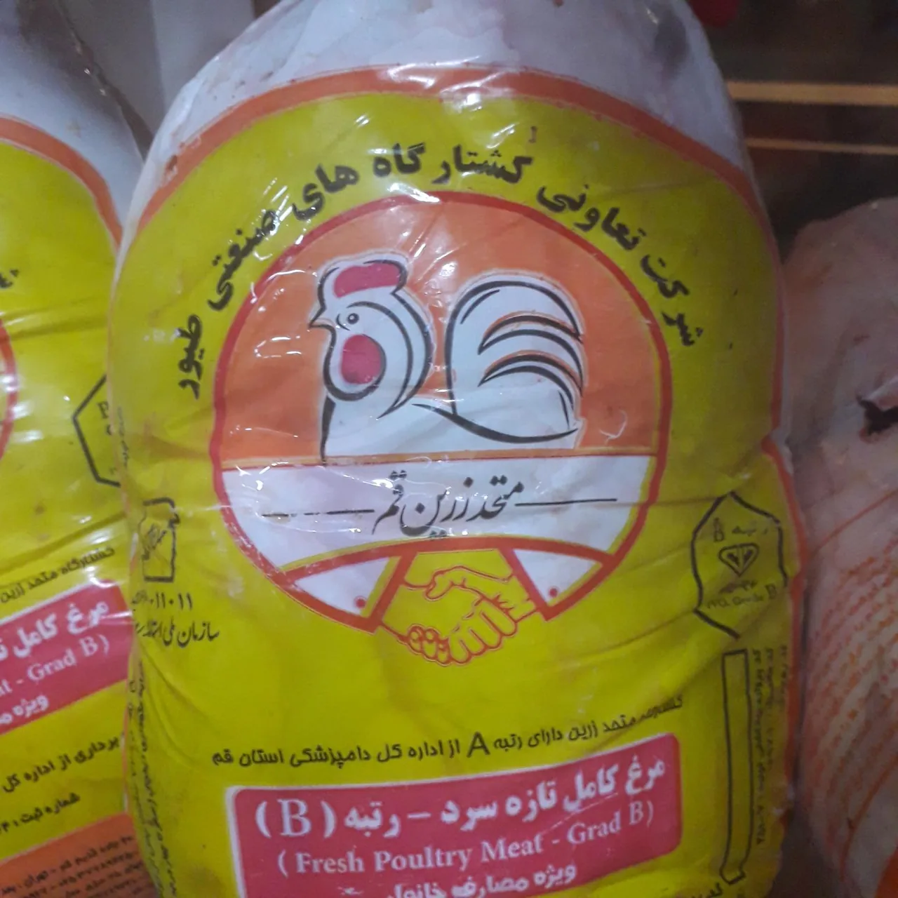 پروتئین فهیمی