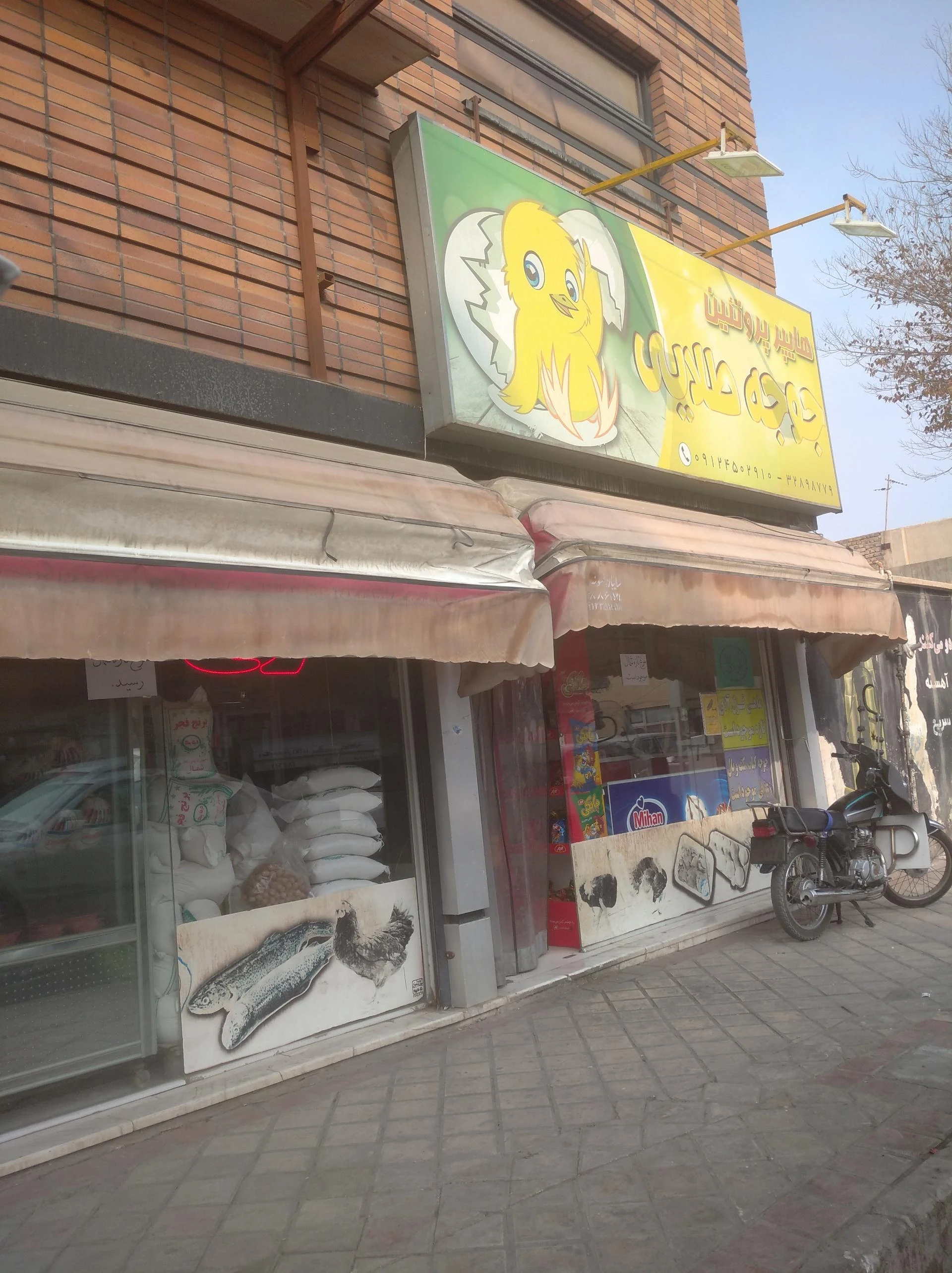 گوشت عادل