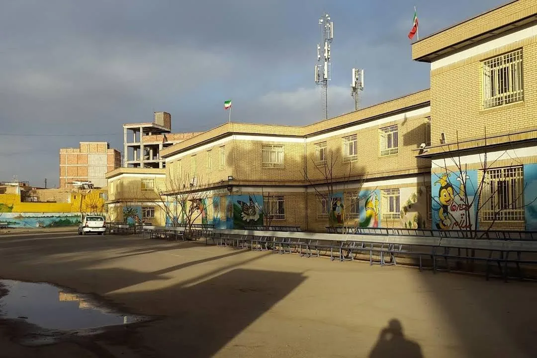 دبستان پسرانه دوره اول عباس سعید (شماره 2) - مدرسه در کرمان - تصویر 3