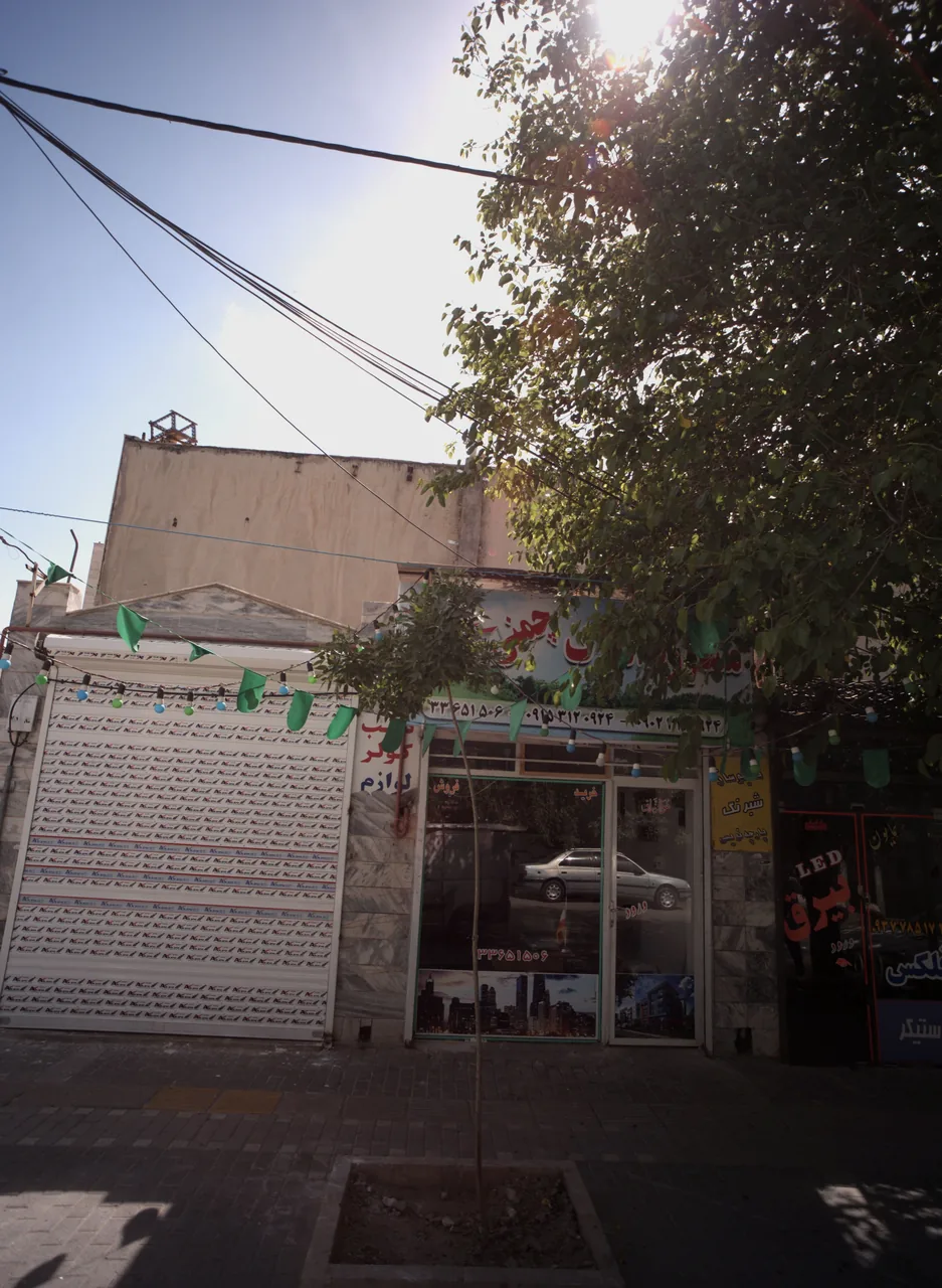 مشاور املاک چمنی