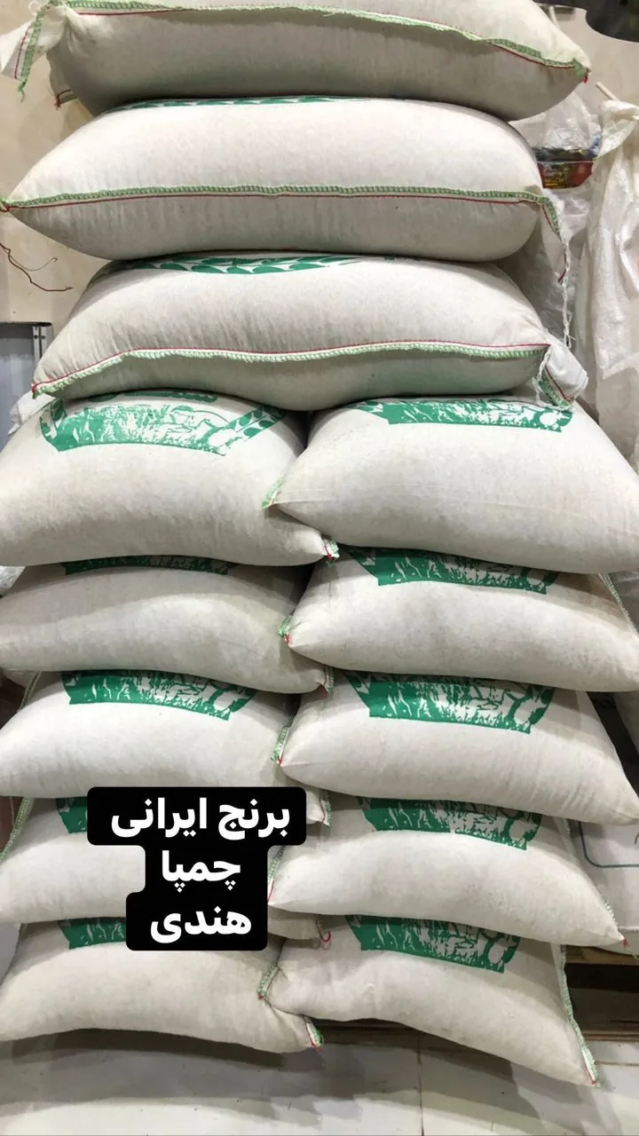 پروتئین سپاس - تصویر 6
