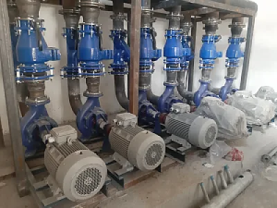 مرکز پخش قارچ شبنم کوثر
