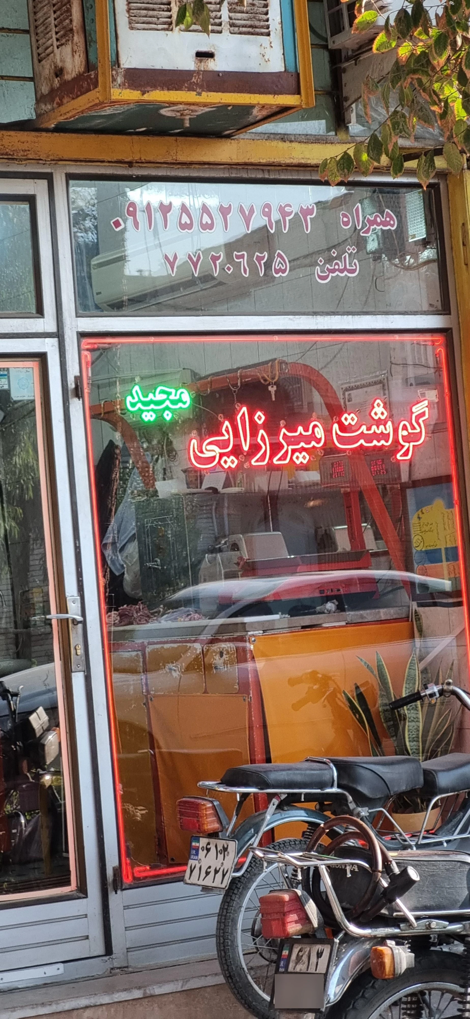 پروتئین اقیانوس - تصویر 2