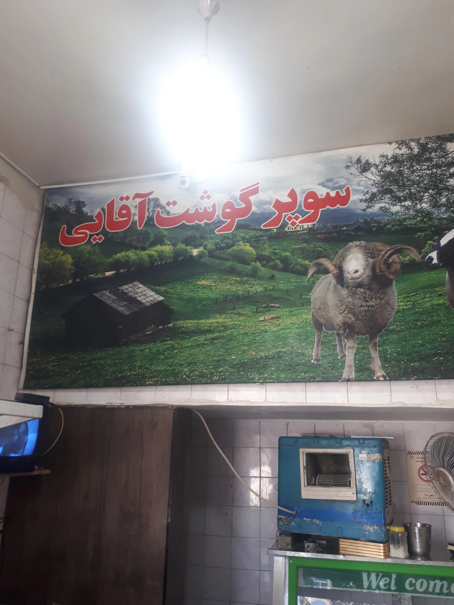 پروتئین اقیانوس - تصویر 3