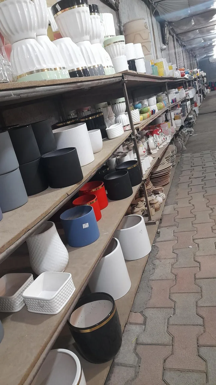 نمایشگاه گل و گلدان خواجو - گل و گیاهان زینتی در کرمان - تصویر 3