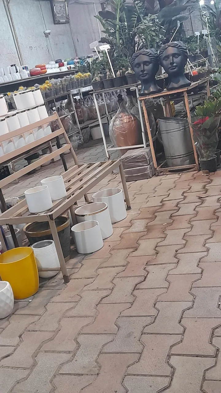نمایشگاه گل و گلدان خواجو - گل و گیاهان زینتی در کرمان - تصویر 5