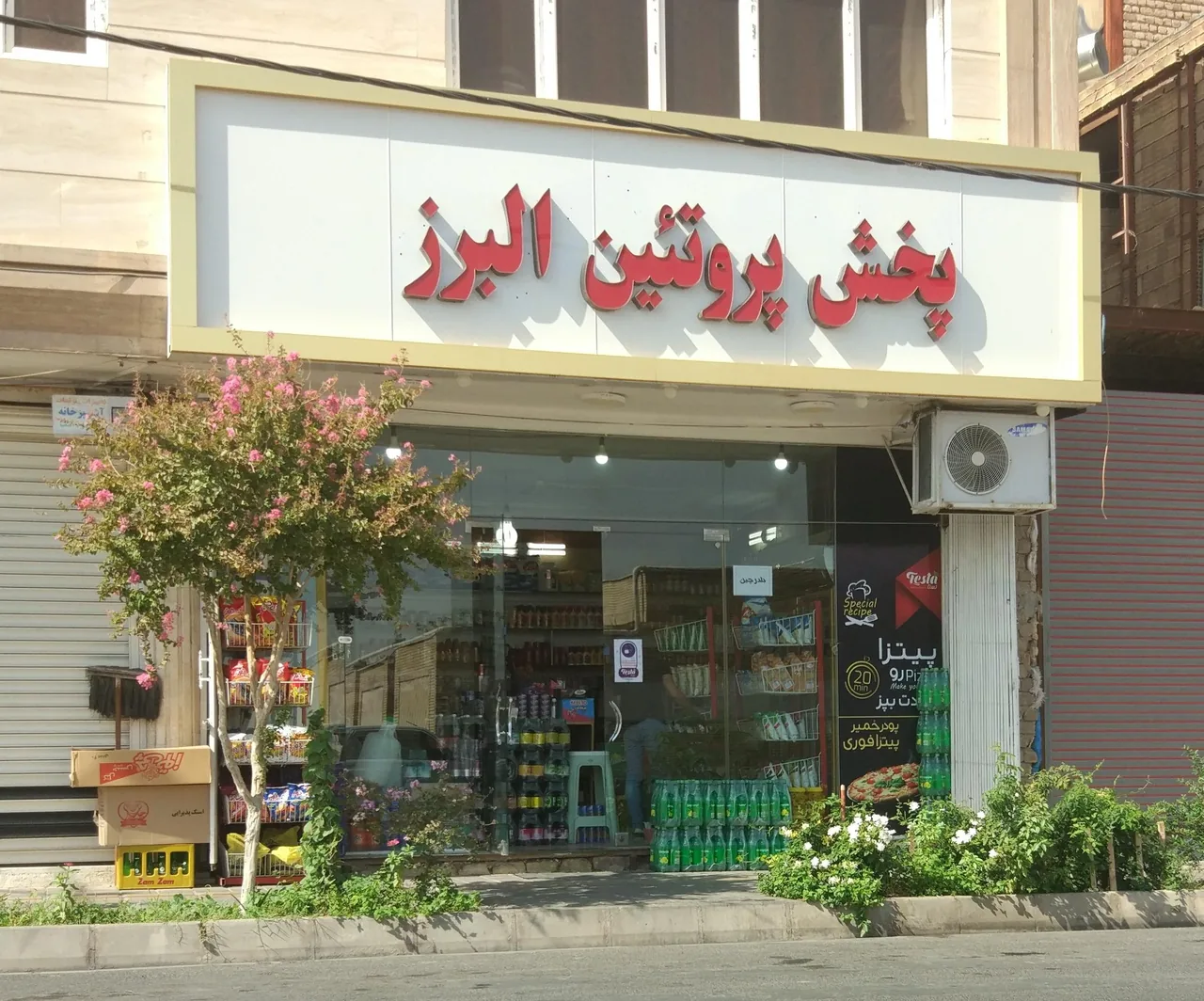 پروتئین البرز