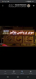 پروتئین شالیز