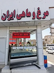 پخش مرغ ایران