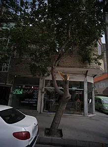 املاک سراسری عوض محمدی