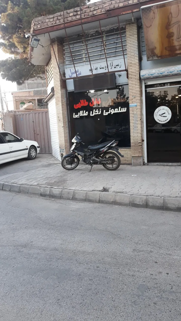 آرایشگاه نخل طلایی - تصویر 2