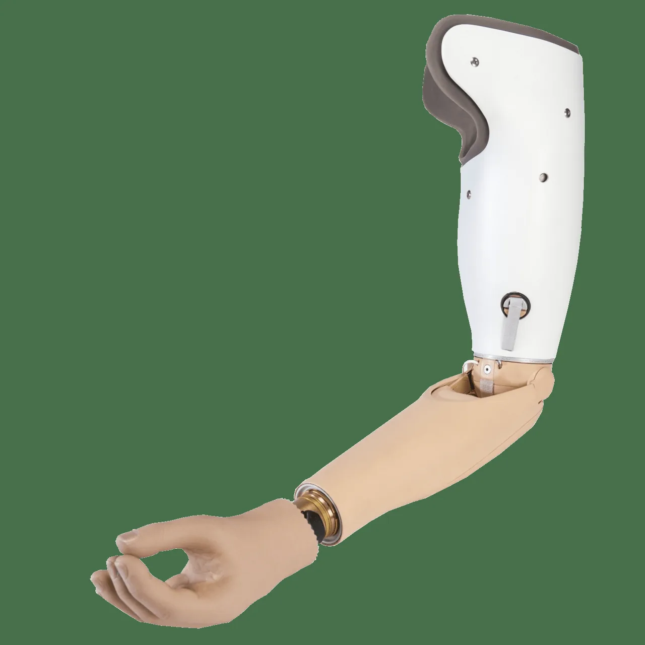 مرکز ارتوپدی فنی پایا