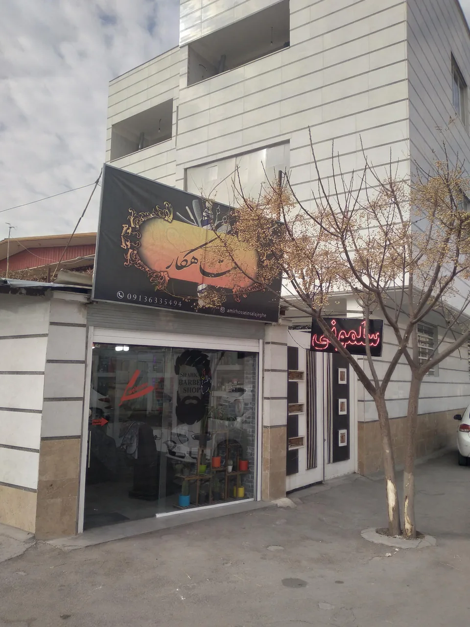 سلمونی تیپکده شاهکار