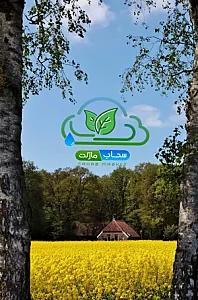 محصولات طبیعی سحاب مارکت