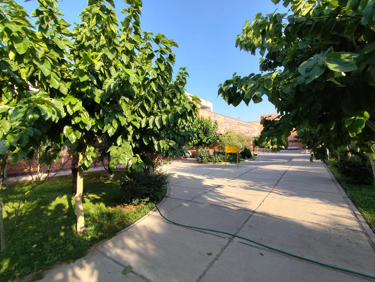 بیمارستان پیامبر اعظم (ص) - تصویر 4
