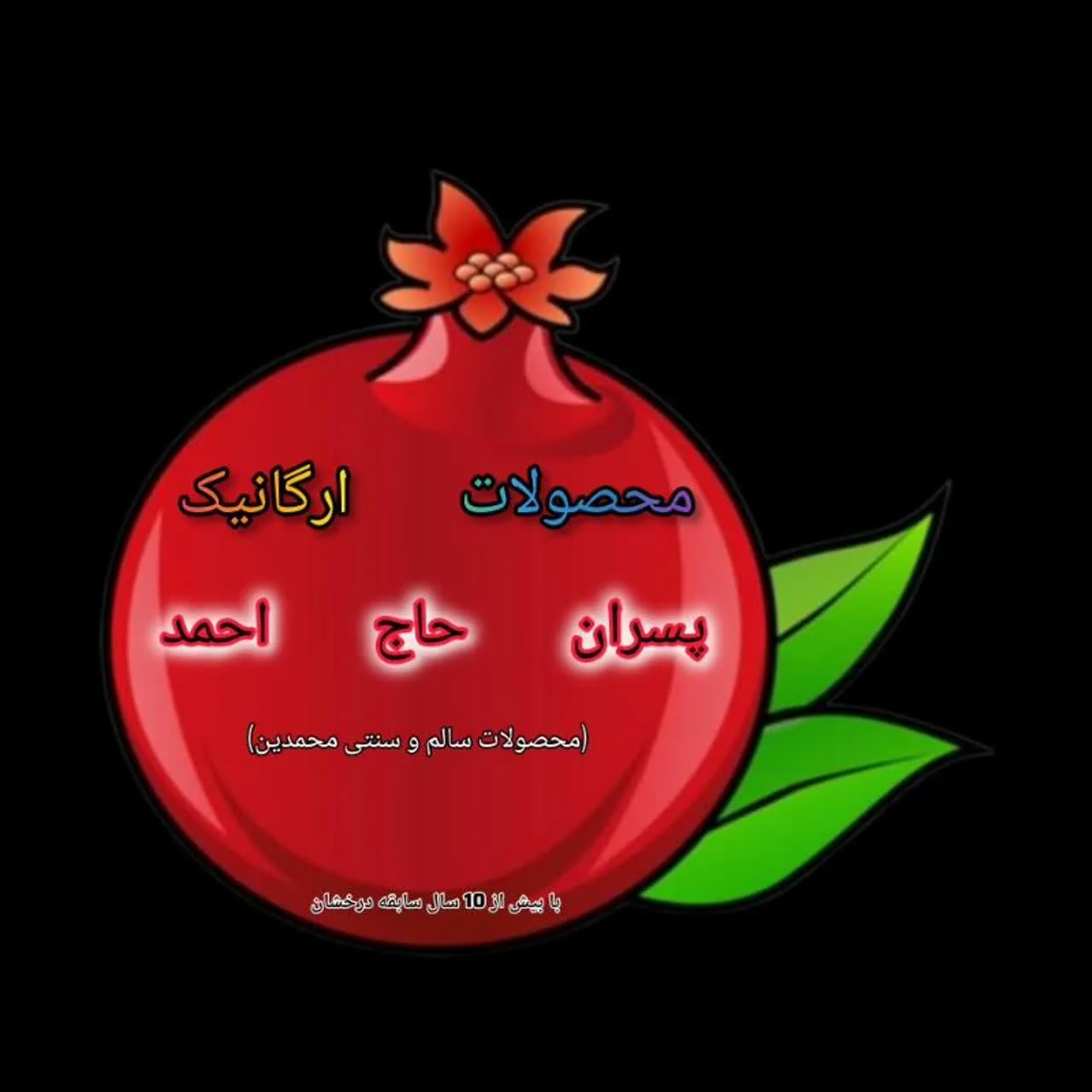 محصولات ارگانیک پسران حاج احمد - تصویر 2