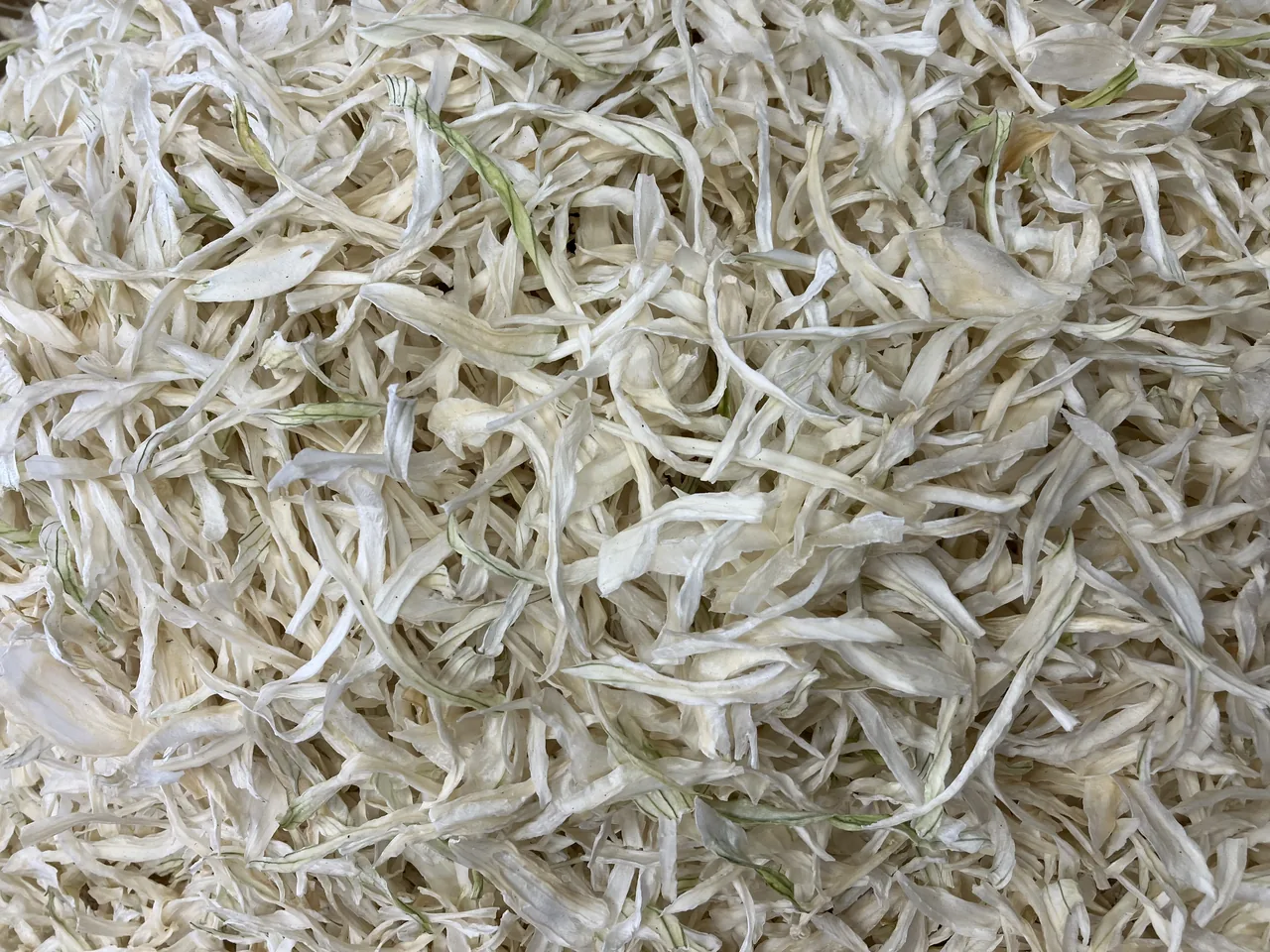 عطاری ممقانی - تصویر 2