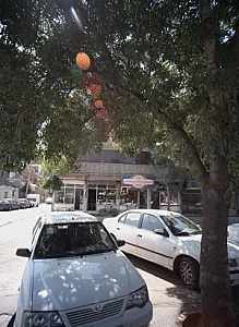 مشاور املاک آزادی