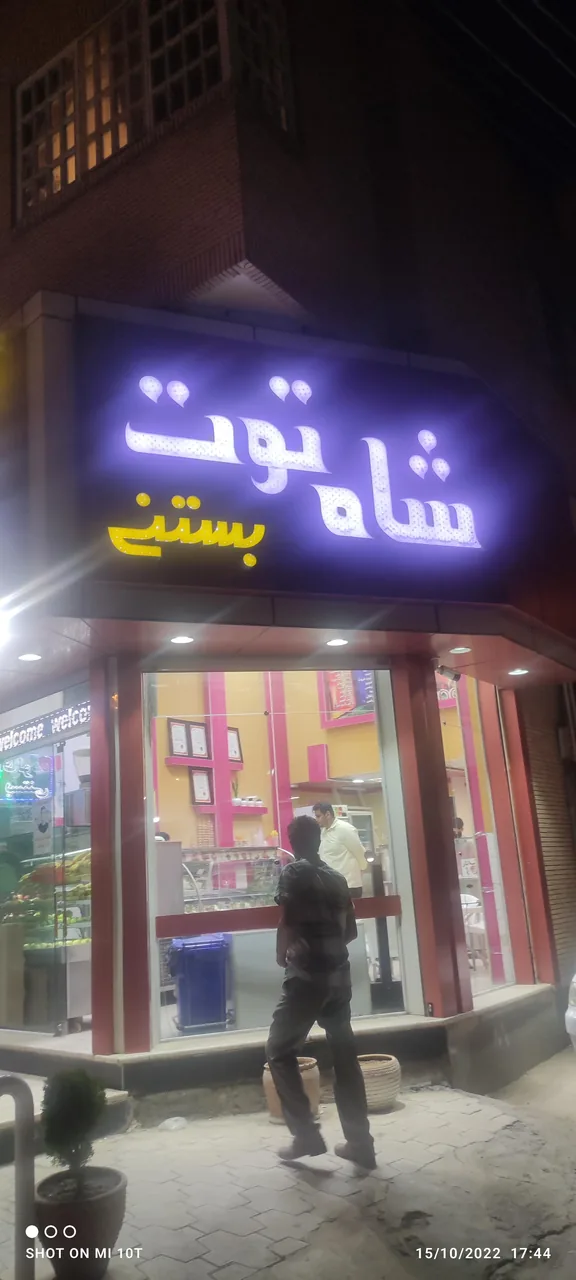 آبمیوه و بستنی شاه توت - تصویر 4