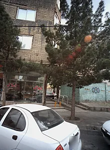 املاک محمدی