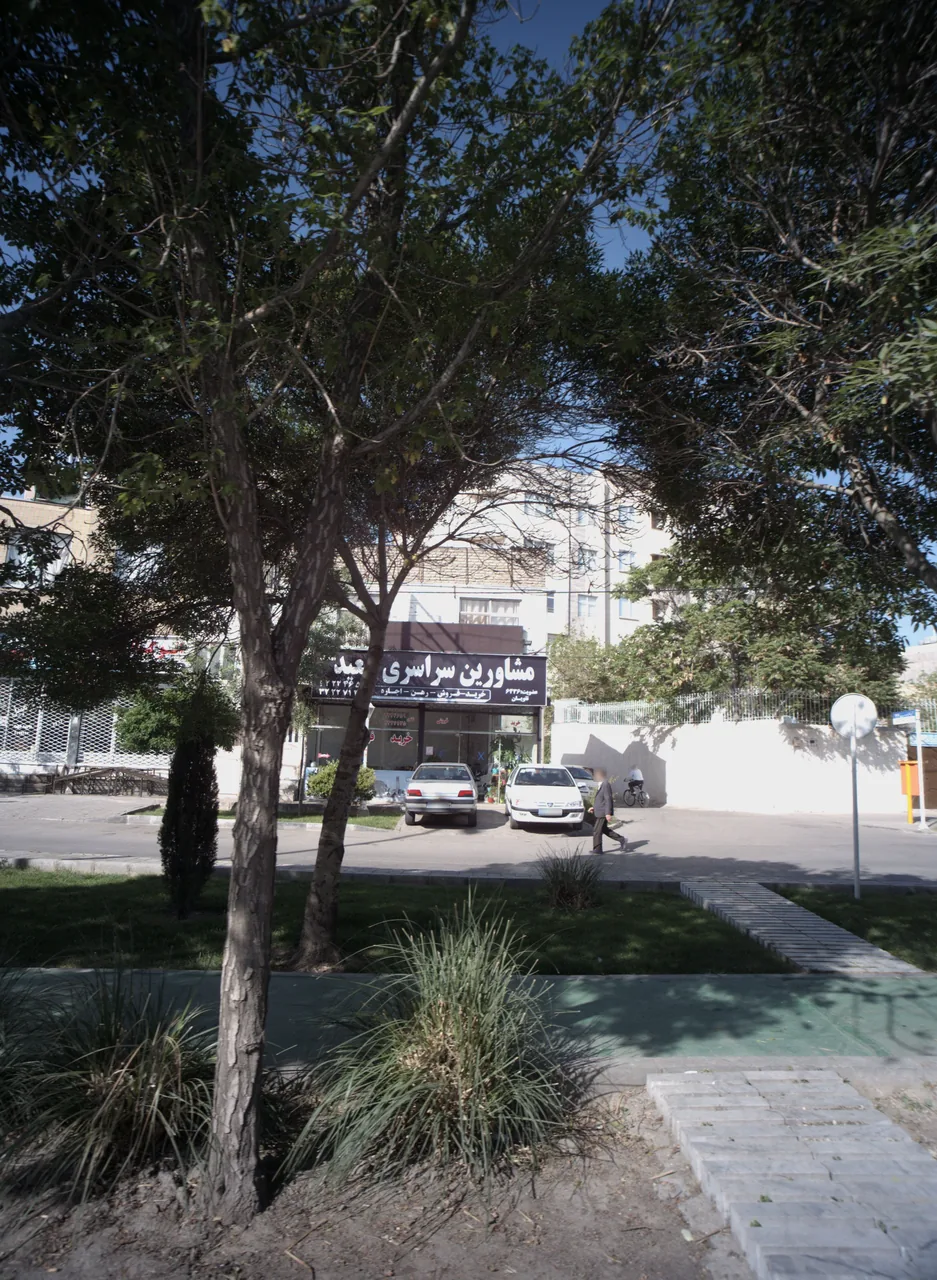 مشاورین سراسری سعید - تصویر 2