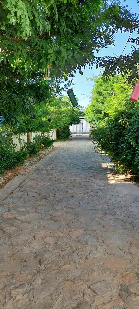 مهد کودک سرزمین شادی - تصویر 5