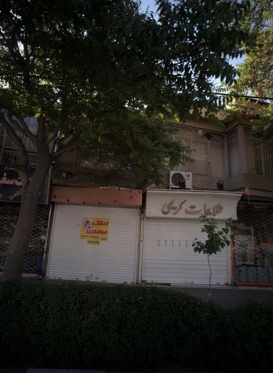 املاک موحدین
