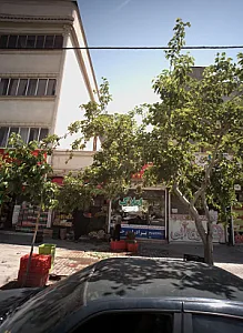 املاک برادران رجایی