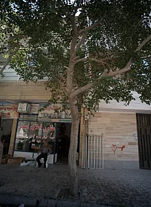 مشاور املاک ایمانی