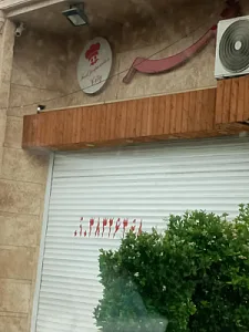 تهیه غذا شهر
