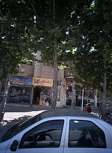 املاک میلاد