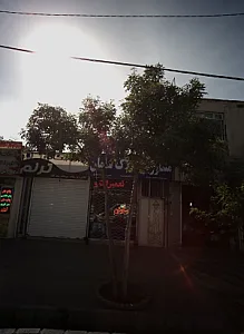 مشاورین املاک سامان