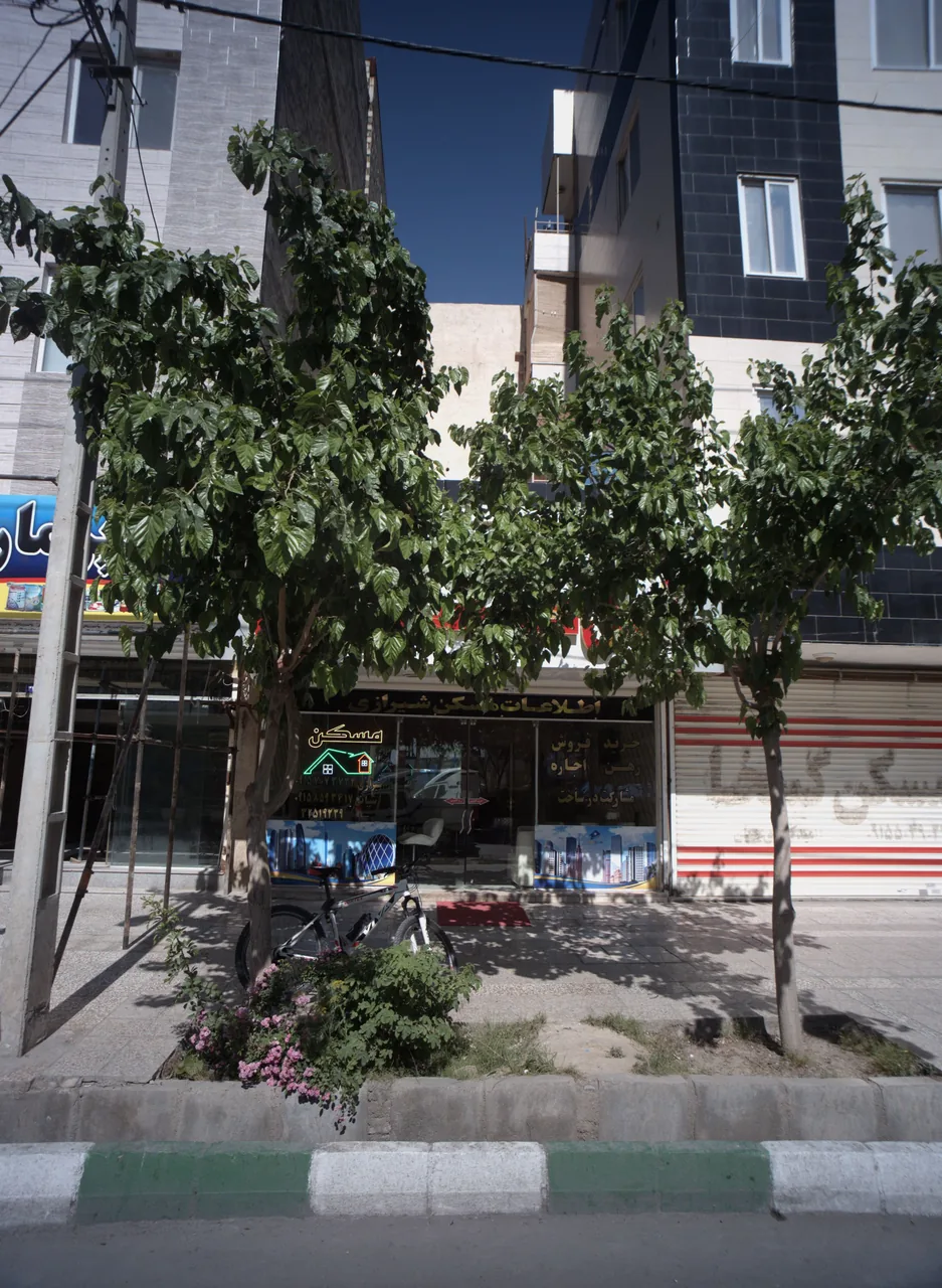اطلاعات مسکن شیرازی