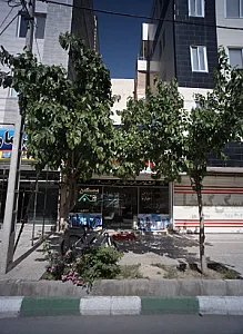 اطلاعات مسکن شیرازی