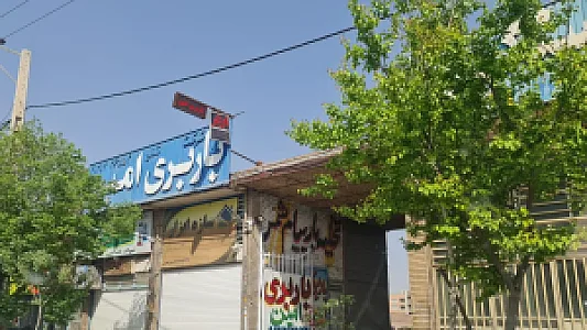 باربری امین