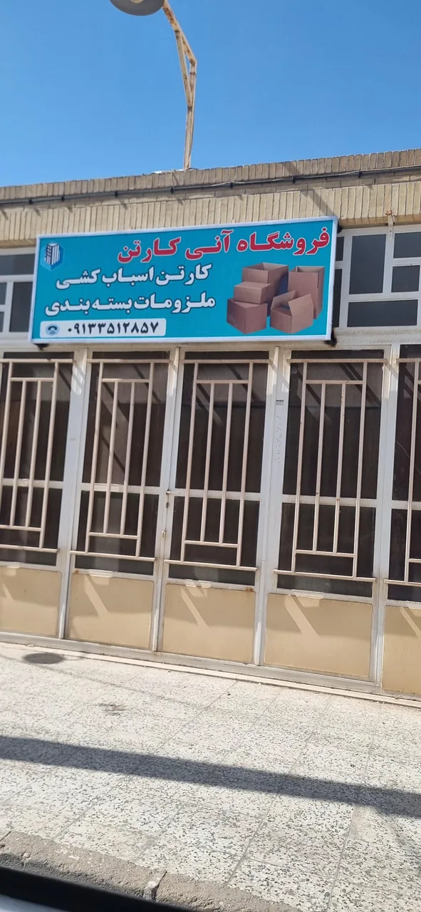 آنی کارتن